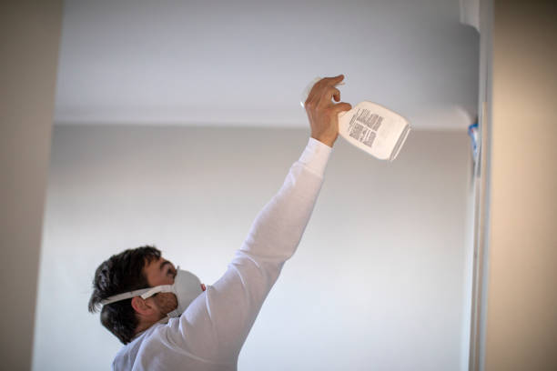 Best Residential Mold Remediation in Mvern, AL
